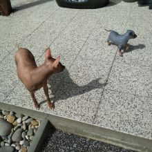 07.jpg