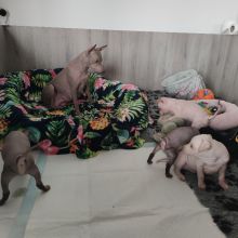 21.jpg