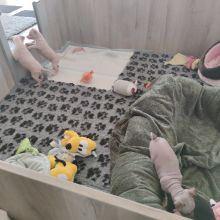 03.jpg