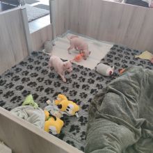 04.jpg