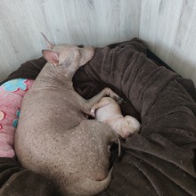 f0.24.jpg