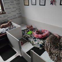 f0.79.jpg