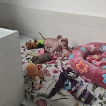 f0.84.jpg
