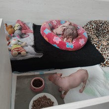 f0.85.jpg