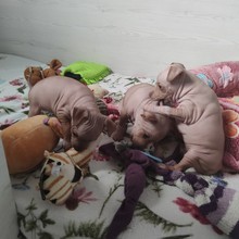 f0.92.jpg