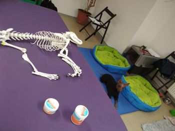 Masáže