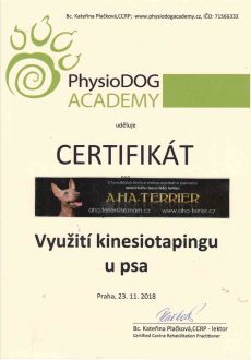 Certifikát