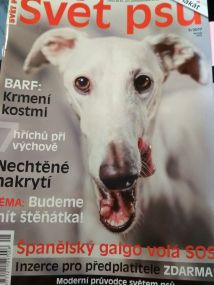Časopis