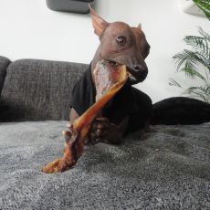Kousání