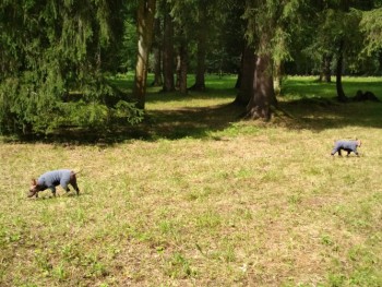 Park