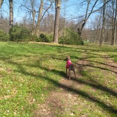 Park
