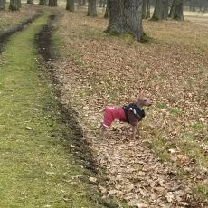 Park