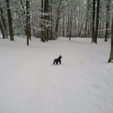 Park