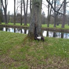 Park