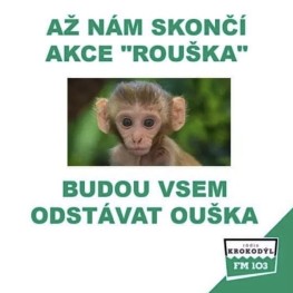 Rouška ouška