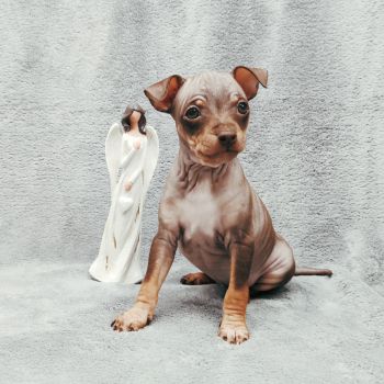 Cloe Victoria