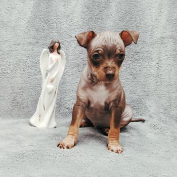 Cloe Victoria
