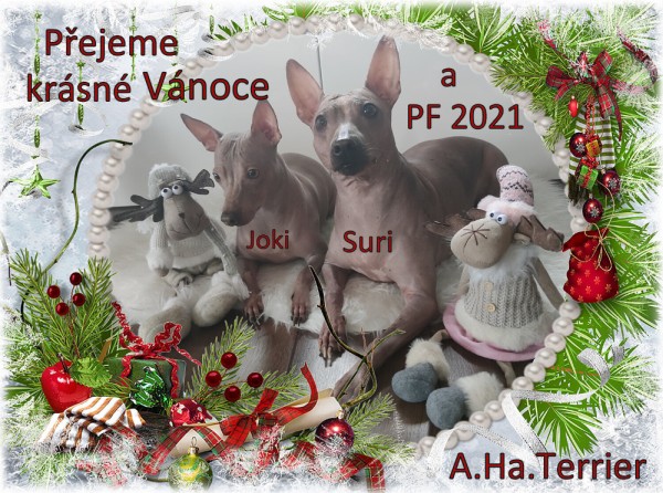 Vánoce