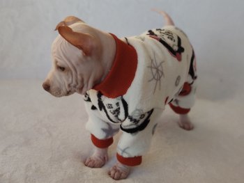 Chasse Theo Ri